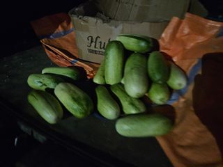 남옥선님의 자유주제 · 자유게시판 작성글 사진