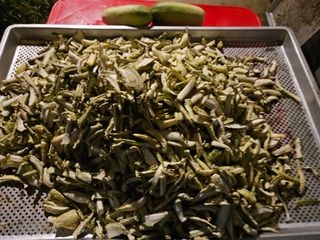 남옥선님의 자유주제 · 자유게시판 작성글 사진