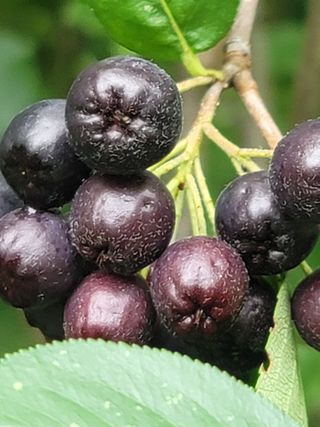 둥근마지기님의 자유주제 · 자유게시판 작성글 사진