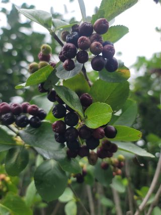 둥근마지기님의 자유주제 · 자유게시판 작성글 사진