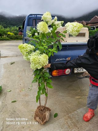 마로니에농원님의 기타작물 · 영농일지 작성글 사진