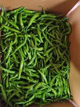 팜모닝 고추·영농일지 게시글 이미지