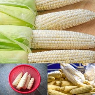 김명옥님의 작성글 사진