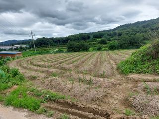 인휴정농장님의 기타작물 · 영농일지 작성글 사진