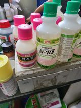 팜모닝 포도·영농일지 게시글 이미지