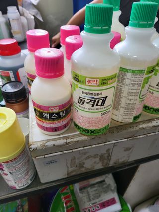 오준석님의 포도 · 영농일지 작성글 사진