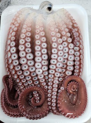 배추11102님의 🍗삼복 보양식 추천해요! · 참여글 작성글 사진