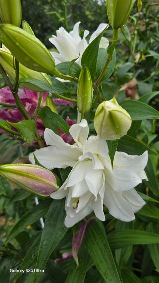 홍성부님의 자유주제 · 자유게시판 작성글 사진