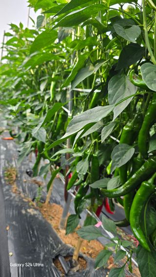 홍성부님의 자유주제 · 자유게시판 작성글 사진