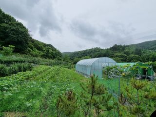 준수님의 자유주제 · 자유게시판 작성글 사진