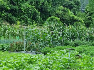 준수님의 자유주제 · 자유게시판 작성글 사진