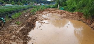 감7993님의 고추 · 영농일지 작성글 사진