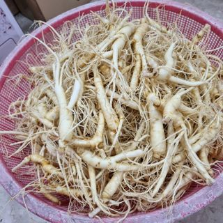 참깨6237님의 🍗삼복 보양식 추천해요! · 참여글 작성글 사진