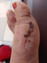 팜모닝 기타작물·영농일지 게시글 이미지