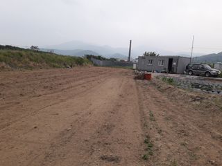 호박천지님의 두릅 · 일상 작성글 사진