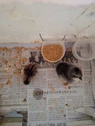 저금통님의 자유주제 · 자유게시판 작성글 사진