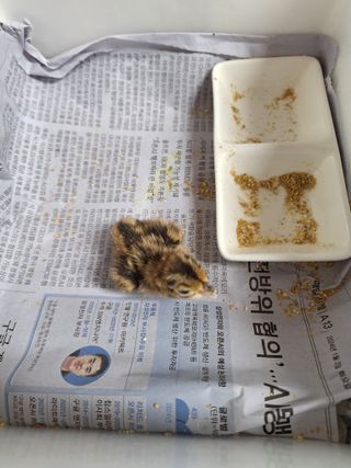 저금통님의 자유주제 · 자유게시판 작성글 사진