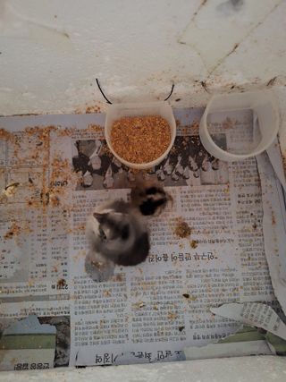 저금통님의 자유주제 · 자유게시판 작성글 사진