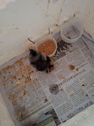 저금통님의 자유주제 · 자유게시판 작성글 사진