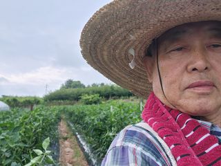 손봉규님의 고추 · 영농일지 작성글 사진