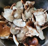 팜모닝 자유주제·자유게시판 게시글 이미지