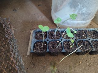 백낙준님의 자유주제 · 자유게시판 작성글 사진