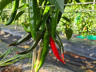 박정원님의 자유주제 · 자유게시판 작성글 사진