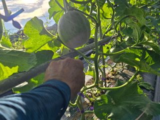 박정원님의 자유주제 · 자유게시판 작성글 사진