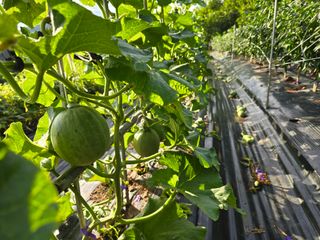 박정원님의 자유주제 · 자유게시판 작성글 사진