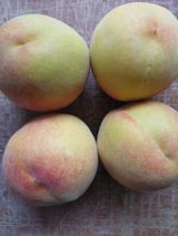 자두농부 6207님의 작성글 사진