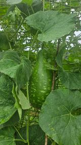 팜모닝 자유주제·자유게시판 게시글 이미지