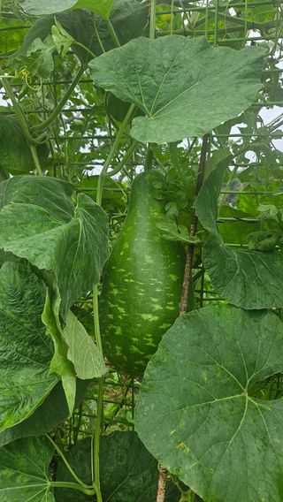 종합선물세트님의 자유주제 · 자유게시판 작성글 사진