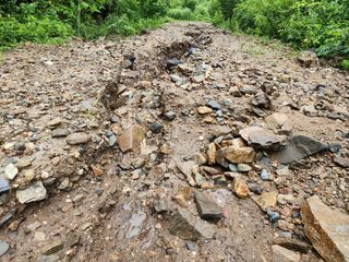이화농원님의 자유주제 · 자유게시판 작성글 사진