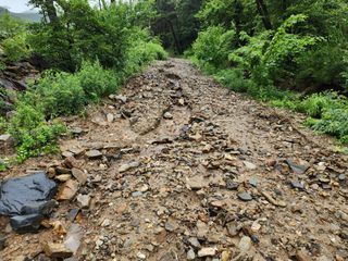 이화농원님의 자유주제 · 자유게시판 작성글 사진