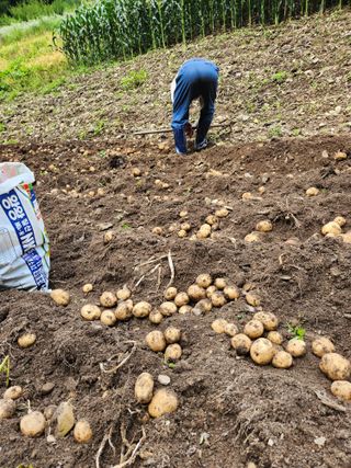 윤미선(농경채인증님의 작성글 사진