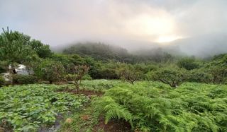 문순님의 기타작물 · 영농일지 작성글 사진