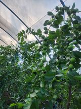 팜모닝 자유주제·자유게시판 게시글 이미지