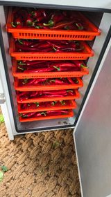 팜모닝 고추·영농일지 게시글 이미지