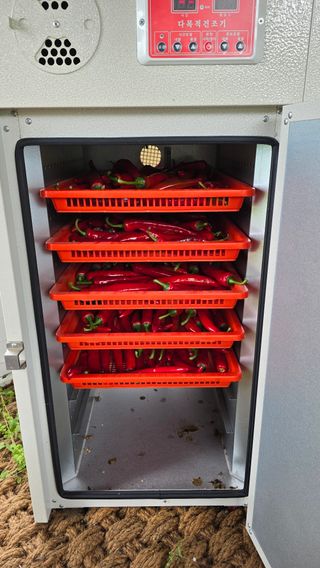 이종애님의 고추 · 영농일지 작성글 사진