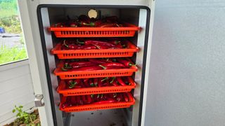 이종애님의 고추 · 영농일지 작성글 사진