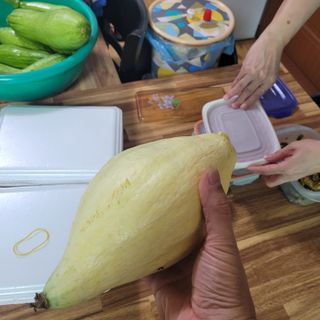 강원특별자치도농민님의 자유주제 · 자유게시판 작성글 사진