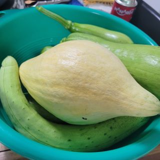 강원특별자치도농민님의 자유주제 · 자유게시판 작성글 사진