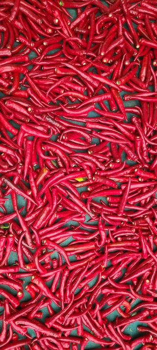 정진해님의 자유주제 · 자유게시판 작성글 사진