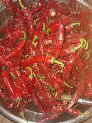 오화순님의 자유주제 · 자유게시판 작성글 사진