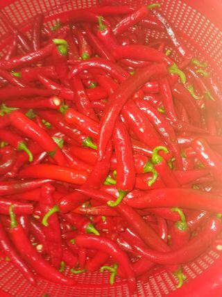 오화순님의 자유주제 · 자유게시판 작성글 사진