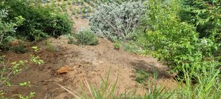 권병☆님의 자유주제 · 자유게시판 작성글 사진