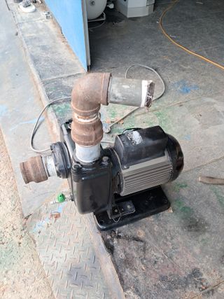 꿈속의농원님의 작성글 사진