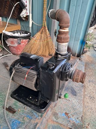 꿈속의농원님의 작성글 사진