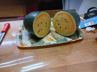 알 수 없음님의 🍗삼복 보양식 추천해요! · 참여글 작성글 사진