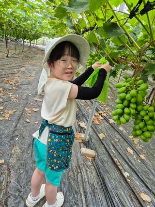 백옥농원님의 자유주제 · 자유게시판 작성글 사진